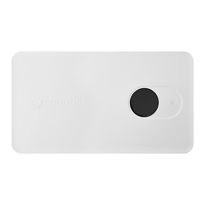 Canaan Avalon Nano 3S