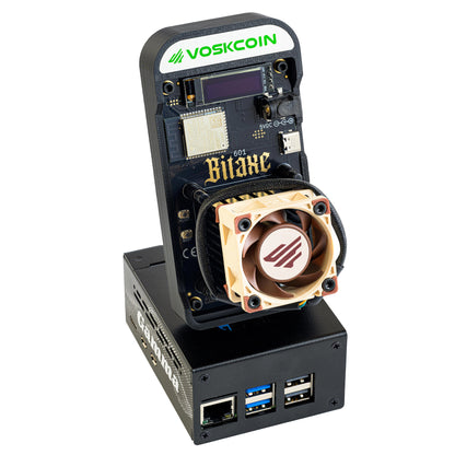 Bitaxe Gamma Node